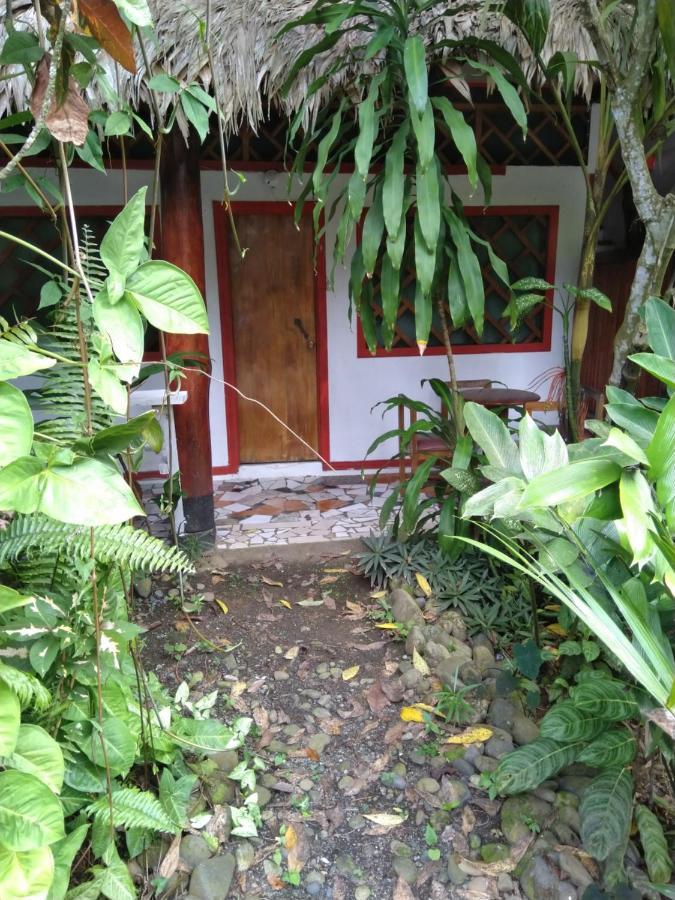 Cabinas Talamanca Sa Hotel Puerto Viejo de Talamanca Ngoại thất bức ảnh