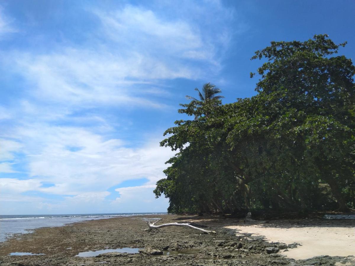 Cabinas Talamanca Sa Hotel Puerto Viejo de Talamanca Ngoại thất bức ảnh