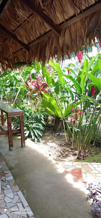 Cabinas Talamanca Sa Hotel Puerto Viejo de Talamanca Ngoại thất bức ảnh